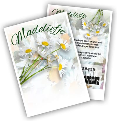 100 promo zaad zakjes Madeliefje - bloemen bellis
