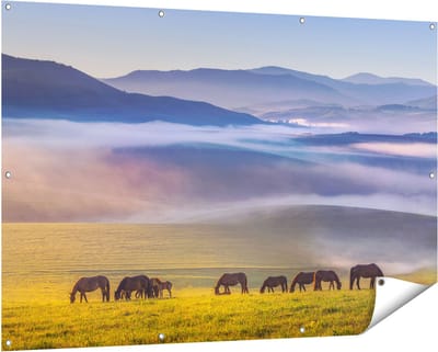 Gards Tuinposter Kudde Wilde Paarden in de Wei bij Heuvels - 150x100 cm - Tuindoek - Tuindecoratie - Wanddecoratie buiten - Tuinschilderij