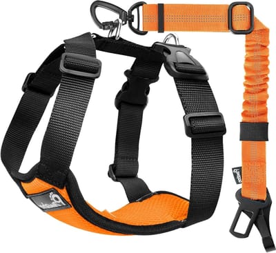 Verstelbare Honden Autogordel met Dubbele Clips, Ademend Vest en Elastische Bungee voor Kleine en Grote Honden, Veiligheid en Comfort in de Auto, Oranje/Zwart