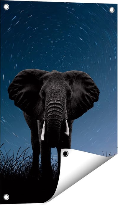 Gards Tuinposter Olifant Omringd met Sterren - 40x60 cm - Tuindoek - Tuindecoratie - Wanddecoratie buiten - Tuinschilderij