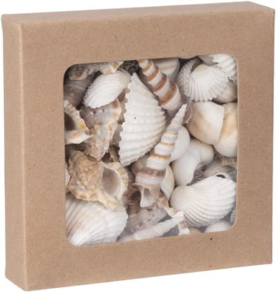 Zandbak Schelp - Decoratieve Schelpenmix - Natuurlijke Kleur - Hoogwaardige Kwaliteit - Geurloos - Voor Thuisdecoratie