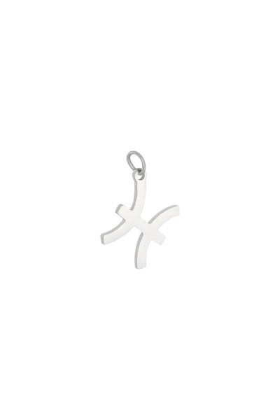 Hanger - chinees sterrenbeeld - stainless steel - zilver - kado - kerst