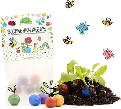 Bloemenknikkers - zaadbommetjes voor kinderen - 5 stuks - kleurrijk en duurzaam cadeau voor een kinderfeestje
