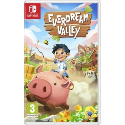 Nintendo Switch Switch Everdream Valley Games