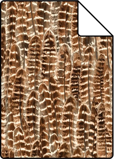 Proefstaal Origin Wallcoverings behang veren roest bruin - 26,5 x 21 cm - 347395-S