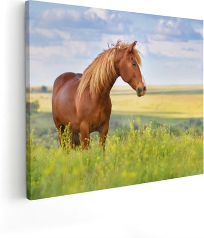 Artaza Canvas Schilderij Paard In Weiland - 50x40 cm - Wanddecoratie Dieren - Muurdecoratie Woonkamer - Kamer Accessoires Natuur