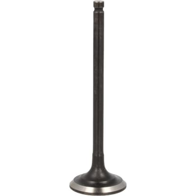 Uitlaatklep FRECCIA R6069/BMARNT