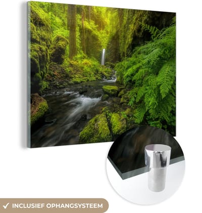 MuchoWow® Glasschilderij 40x30 cm - Schilderij acrylglas - Prachtig plaatje jungle - Foto op glas - Schilderijen