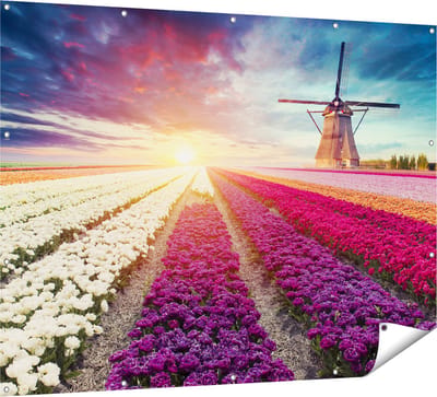Gards Tuinposter Kleurrijke Tulpen Bloemenveld - Windmolen - 160x120 cm - Tuindoek - Tuindecoratie - Wanddecoratie buiten - Tuinschilderij