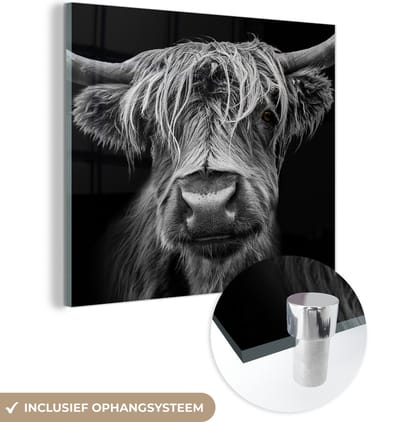 Glasschilderij Schotse hooglander - Koe - Zwart wit - Hoorns - Portret - Slaapkamer decoratie - Wanddecoratie glas - 50x50 cm - Foto op glas - Woonkamer