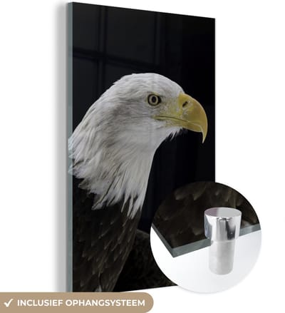 MuchoWow® Glasschilderij 120x180 cm - Schilderij acrylglas - Adelaar - Vogel - Snavel - Zwart - Foto op glas - Schilderijen