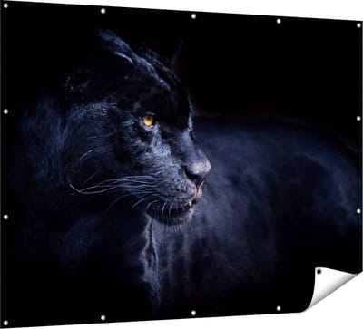 Gards Tuinposter Zwarte Panter - 160x120 cm - Tuindoek - Tuindecoratie - Wanddecoratie buiten - Tuinschilderij