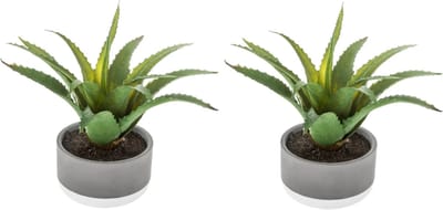 Set van 2x stuks atmosphera kunstplanten in pot van cement 22 cm - Nepplanten