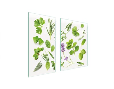 TMK ArtDeko - Snijplank - 75x52 cm - Roestvrij - Beschermplaat - Motief Planten
