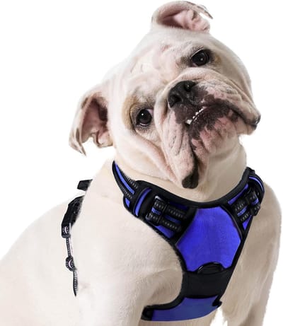 Hondentuig No Pull, Hondenharnas voor Middelgrote Honden, Verstelbare Harnas Hond met Reflecterend Strepen, Gewatteerd Zacht Ademend, Hondentuigje Anti-trek voor Wandelen Training, Blauw M
