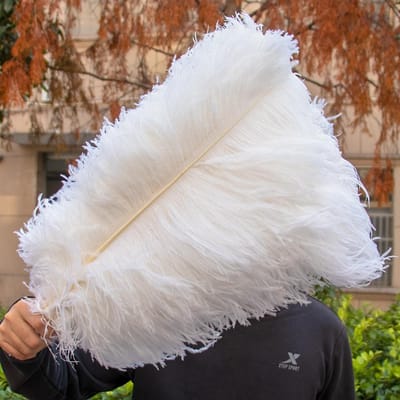 10 STUKS Rode Struisvogelveren Bulk 15-60CM Natuurlijke Veren Voor Knutselen Bruiloft Feest Tafeldecoraties Decoratie Carnaval Plumas 15-20CM 6-8INCH wit