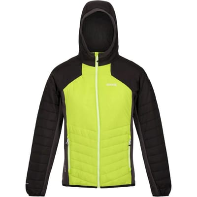Regatta Heren Trutton Hooded Soft Shell Jacket (Helder kiwi/zwart)