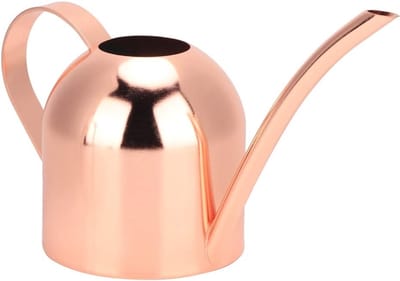 Roestvrijstalen Gieter - Waterkannetje Planten - Kamerplanten Verzorgen - Lange Nauwe Tuit - 500 Ml Capaciteit - Rosé Goud