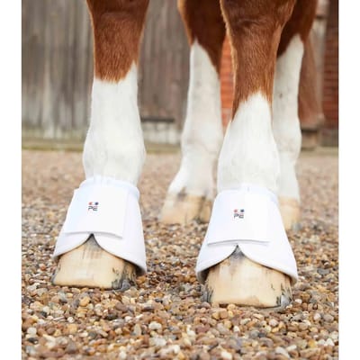 Handschoenovertrek voor paarden Premier Equine Carbon Wrap Over Reach