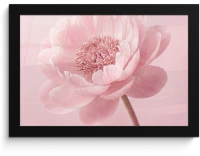 Poster in lijst - Fotolijst 30x20 cm - Posters - Bloem - Pioenroos - Roze - Posterlijst zwart - Decoratie - Wanddecoratie woonkamer - Muurdecoratie slaapkamer