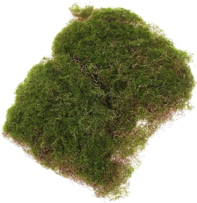 Decoratieve Kunstmosmat - Synthetisch Gras Tapijt - Landschapsontwerp - Realistisch Groen Uiterlijk - 26x25x2 cm - Groen