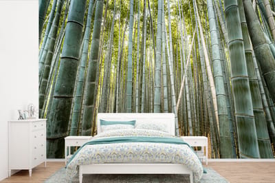 Behang - Fotobehang Bamboe - Natuur - Japan - Breedte 390 cm x hoogte 260 cm