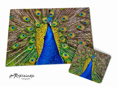 Kleintje fotografie Pauw wenskaart & magneet – Kleurrijke verenpracht