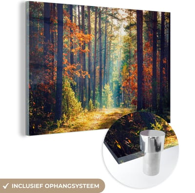 MuchoWow - Glasschilderij - Wanddecoratie - Bos - Bladeren - Natuur - Herfst - Foto op glas - Acrylglas - Schilderij glas - 150x100 cm - Glasschilderij natuur - Muurdecoratie - Schilderijen woonkamer