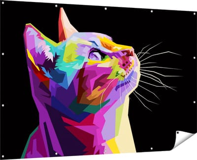 Gards Tuinposter Kleurrijke Kat Kijkt naar Boven - Abstract - 180x120 cm - Tuindoek - Tuindecoratie - Wanddecoratie buiten - Tuinschilderij
