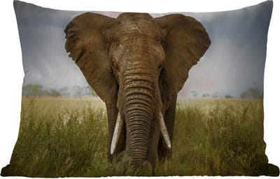 Buitenkussens - Tuin - Olifant - Natuur - Gras - Dieren - Landschap - 50x30 cm