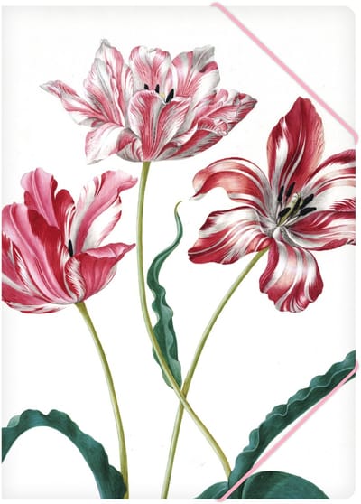 Lanzfeld Merian - Documentenmap A4 - Met Elastiek - Three Tulips - A4-formaat