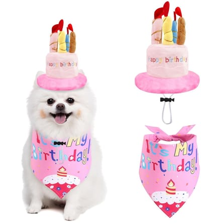 Dailygoods- Verjaardagshoed met kaarsdecoratie - Verjaardagszakdoek - Verstelbaar - Voor huisdieren - Polyester - 13 cm lengte - Huisdierverjaardag