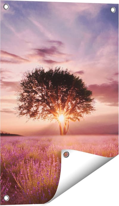Gards Tuinposter Bloemenveld met Lavendel bij Zonsondergang - 40x60 cm - Tuindoek - Tuindecoratie - Wanddecoratie buiten - Tuinschilderij