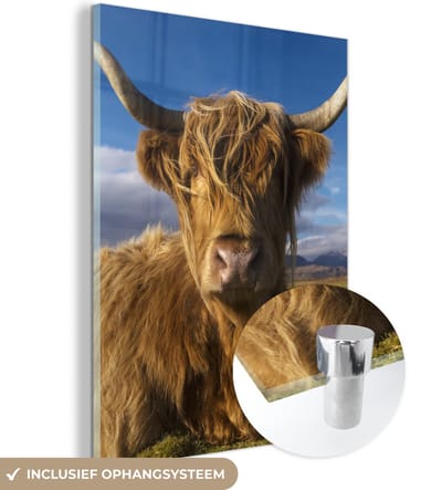 MuchoWow® Glasschilderij 120x160 cm - Schilderij acrylglas - Schotse Hooglander - Dieren - Gras - Foto op glas - Schilderijen