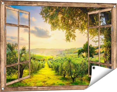 Gards Tuinposter Doorkijk Olijvenbomen - Olijvengaard - 90x60 cm - Tuindoek - Tuindecoratie - Wanddecoratie buiten - Tuinschilderij