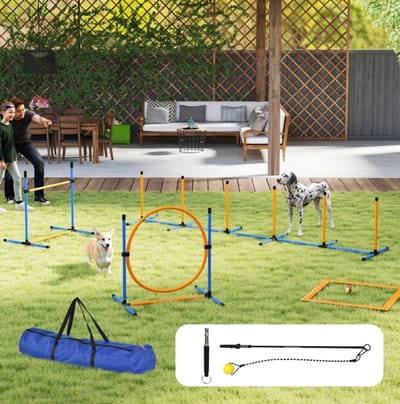 MEUNIQ hond agility set 7-delig met horde, springring, slalomstangen en pauzevak, verstelbare spronghoogte, met draagtas voor hondentraining, blauw