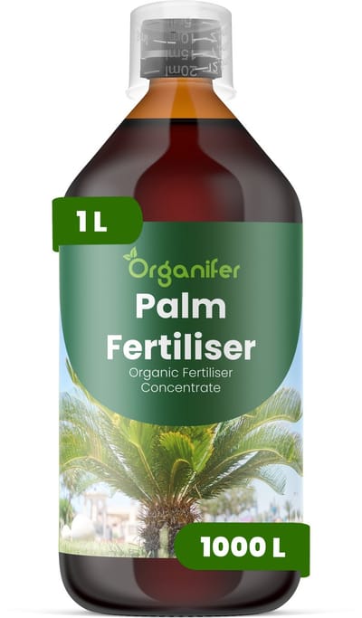 Vloeibare Meststof Voor Palm 1 L Voor 1000 L - Npk 2-1-8 - Versterkt Palmbladeren Met Verbeterde Kleur, Glans En Bladtextuur - Ondersteunt Opgaande, Sterke En Goed Gestructureerde Palmgroei - Verbetert De Langetermijnvitaliteit - Organifer
