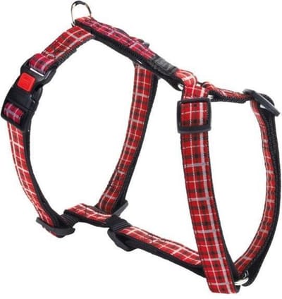 Harness tartan xs 25-40 cm 10 mm