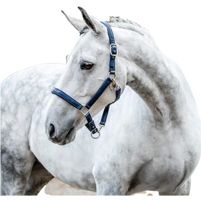 Halsband voor verzorgingspaard Horseware