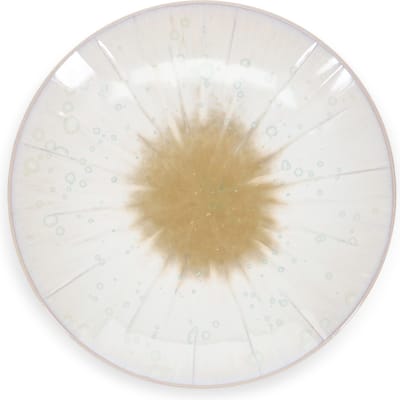 S|P Collection Plat bord 18xH3,5cm wit Eclipse (Set van 4)