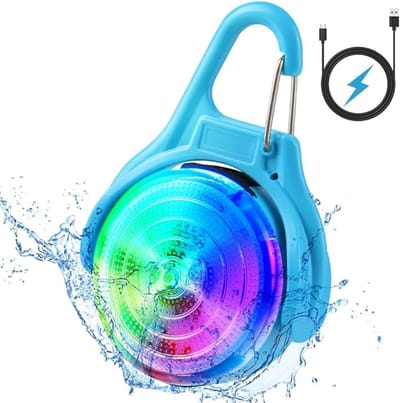 LED-veiligheidsverlichting voor hondenhalsband, 4 knipperstanden USB-oplaadbare hondenlamphanger voor huisdieren, nachtwandelingen, kamperen, IPX68 waterdicht blauw