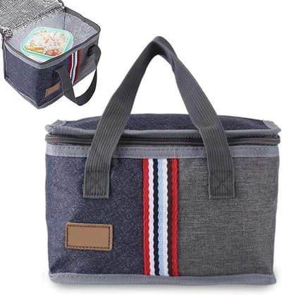 Draagbare geïsoleerde lunchtas met grote capaciteit voor voedselopslag, 9.06" x 5.91" x 6.30", ideaal voor picnics en werk lunches