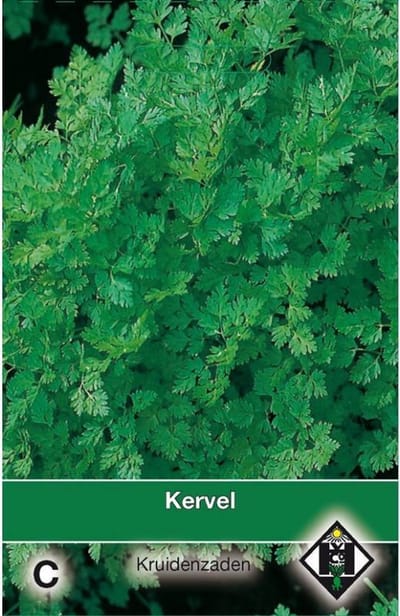 Van Hemert Zaden - Kervel (Anthriscus cerefolium)