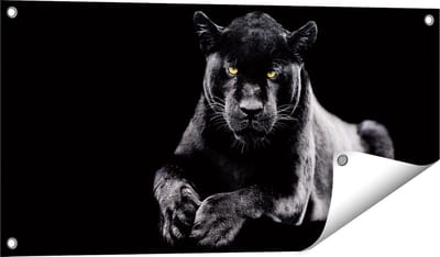 Gards Tuinposter Zwarte Panter - 80x40 cm - Tuindoek - Tuindecoratie - Wanddecoratie buiten - Tuinschilderij