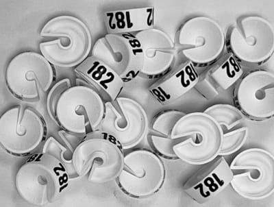 Bleijenberg Maatdopje maat 182 wit - Maataanduiding voor kledinghangers per 25 stuks - Maatringetje Ø 20 mm - Kledinghangers - Kleerhanger - Kapstok - Mark-Brics - wisersizer
