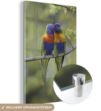® Glasschilderij 120x180 cm - Schilderij acrylglas - Koppel Lori's van de blauwe bergen - Foto op glas - Muurdecoratie woonkamer - Wanddecoratie slaapkamer - Schilderijen