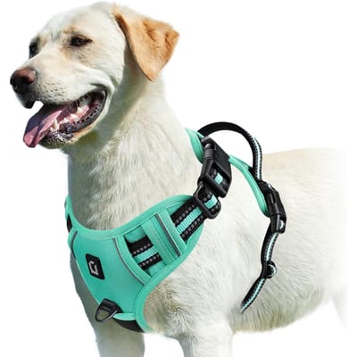 Harnais Anti-traction pour Chien, Gilet Rembourré Doux Réglable pour Animal de Compagnie avec Poignée de Contrôle Facile (green,XL) vert