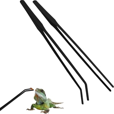 Set van 2 RVS Aquarium Tweezers van 27 cm, Recht en Gebogen, Ideaal voor Terrarium en Aquatische Planten, Perfect voor Reptielen en Insecten