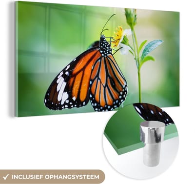MuchoWow® Glasschilderij 40x20 cm - Schilderij acrylglas - Vlinder - Bloemen - Insecten - Foto op glas - Schilderijen
