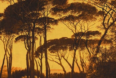 Fotobehang Treetops3 DD117885 A.S. Création Atelier 47 | Fotobehang online webshop